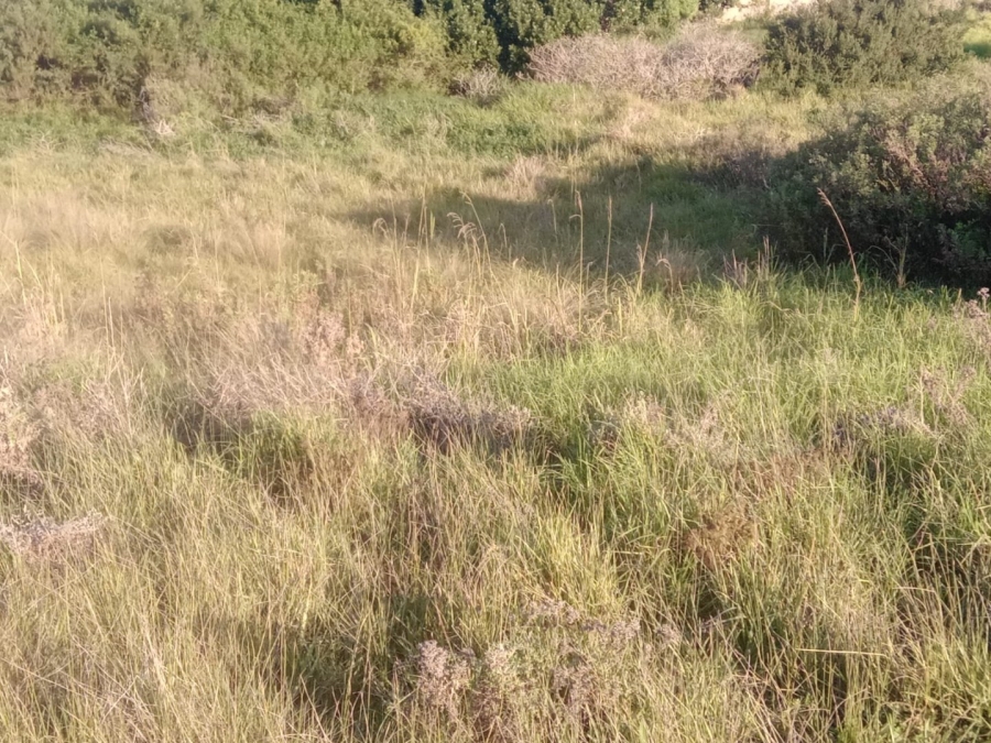 Commercial Property for Sale in Paradise Beach Eastern Cape